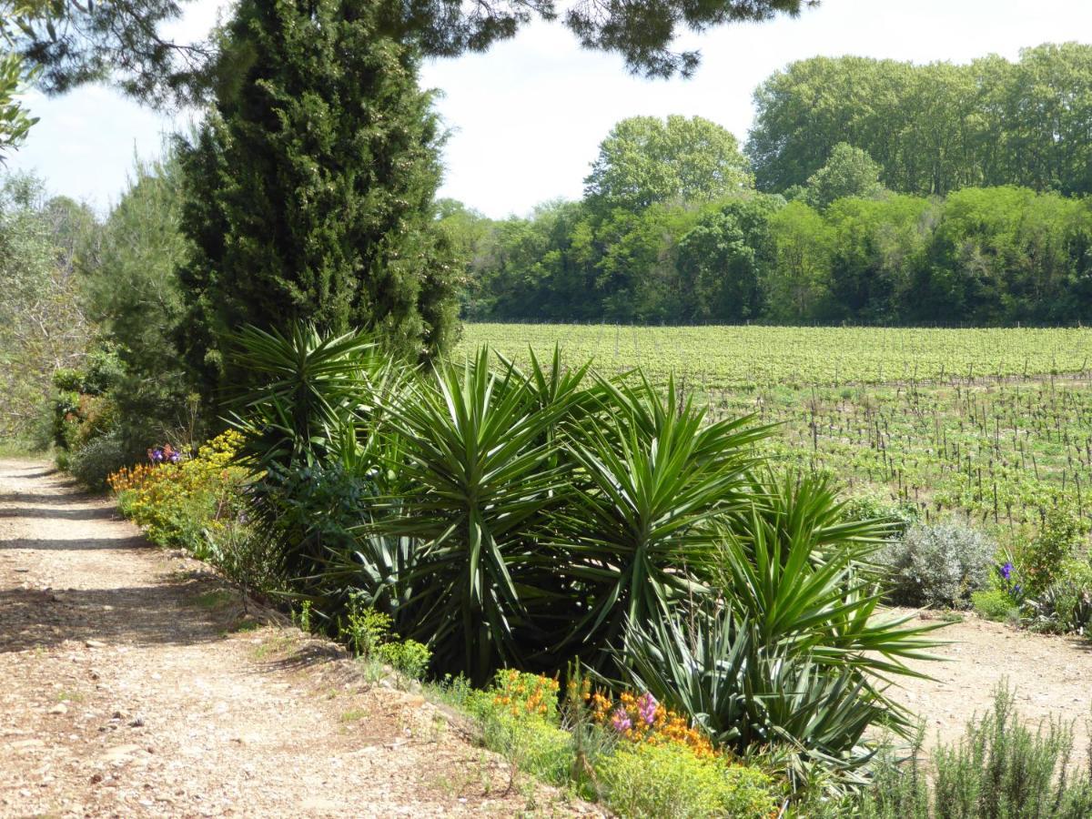 Domaine De L'Herbe Sainte Mirepeisset Bagian luar foto