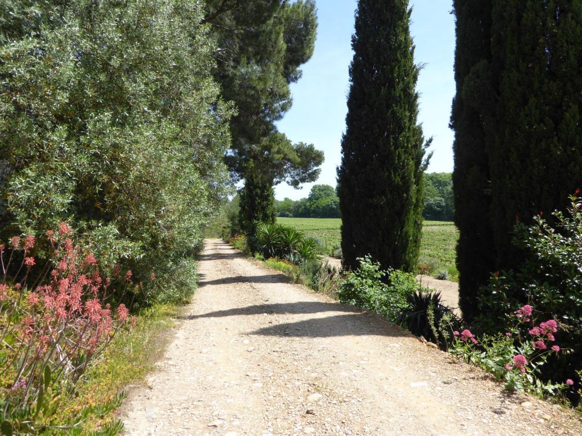 Domaine De L'Herbe Sainte Mirepeisset Bagian luar foto