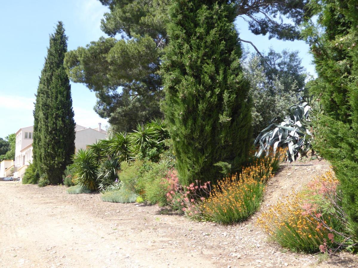 Domaine De L'Herbe Sainte Mirepeisset Bagian luar foto