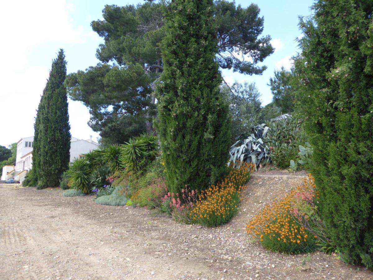 Domaine De L'Herbe Sainte Mirepeisset Bagian luar foto