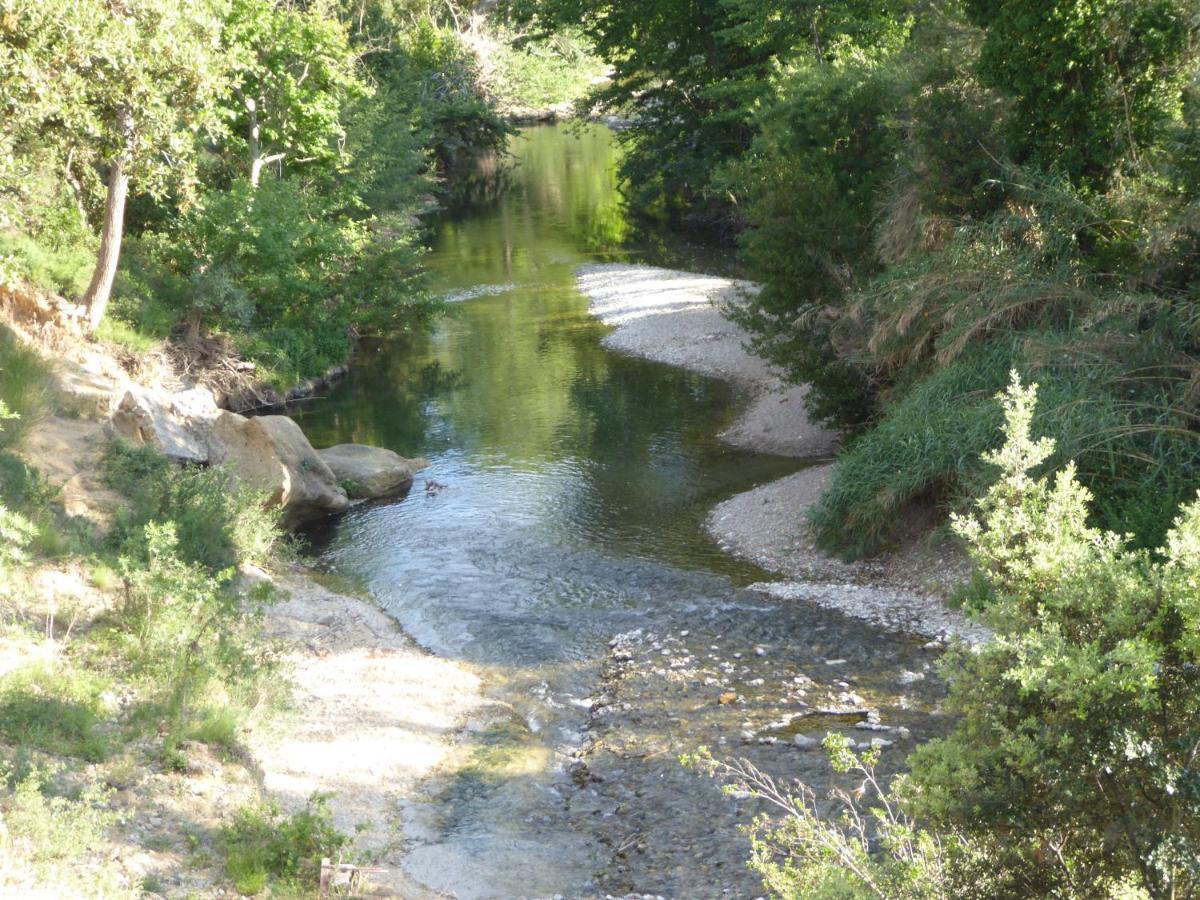 Domaine De L'Herbe Sainte Mirepeisset Bagian luar foto
