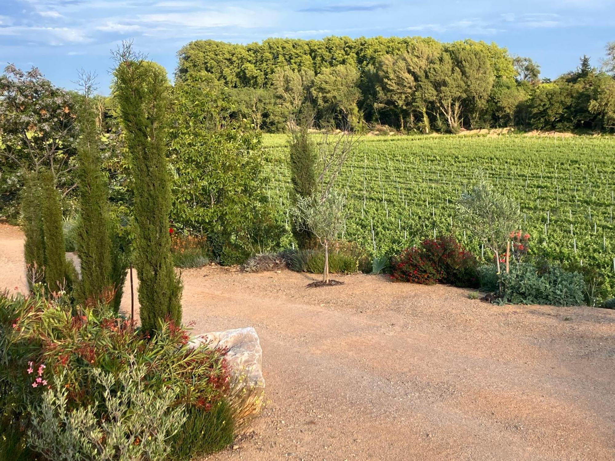 Domaine De L'Herbe Sainte Mirepeisset Bagian luar foto