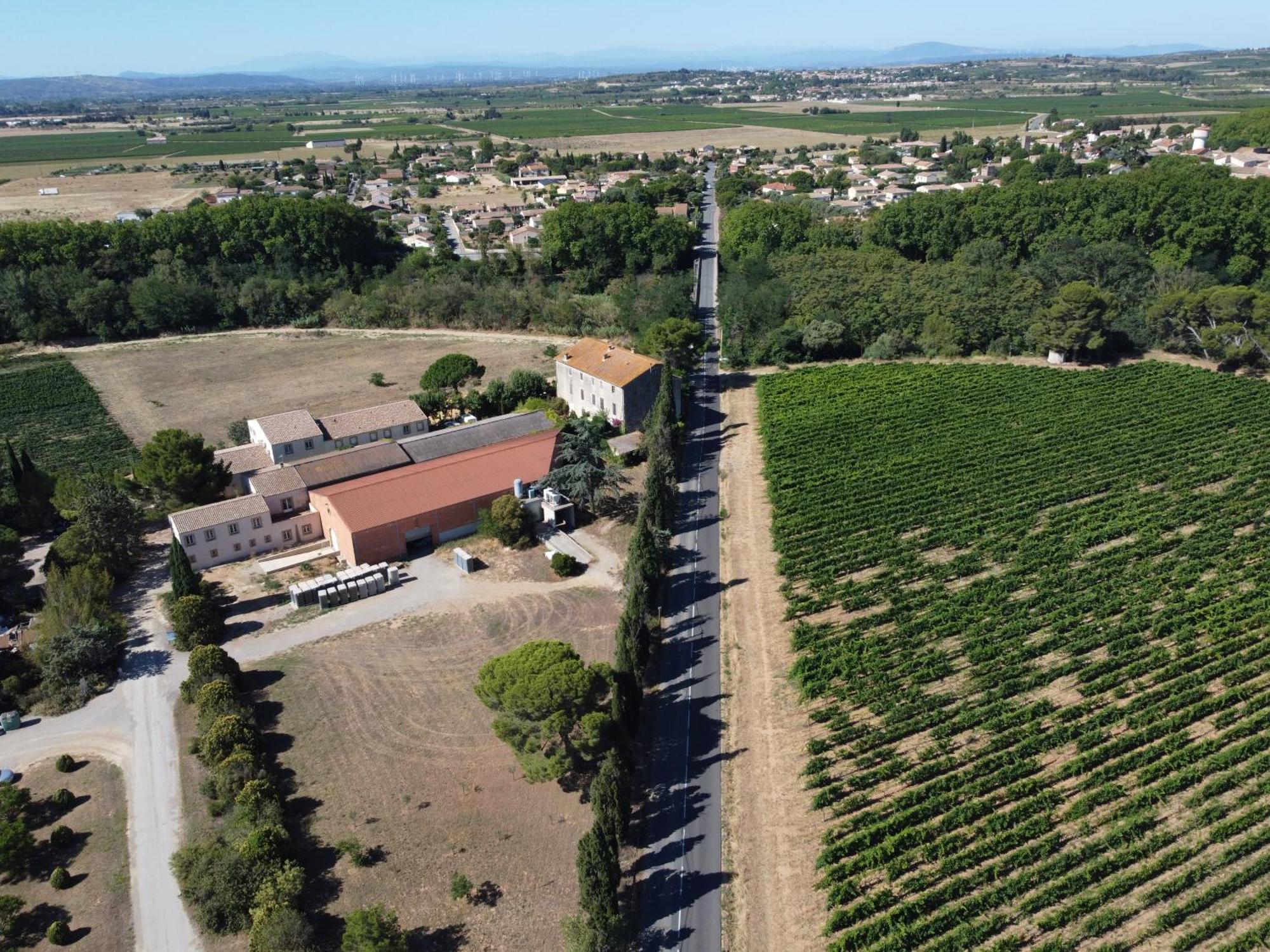 Domaine De L'Herbe Sainte Mirepeisset Bagian luar foto