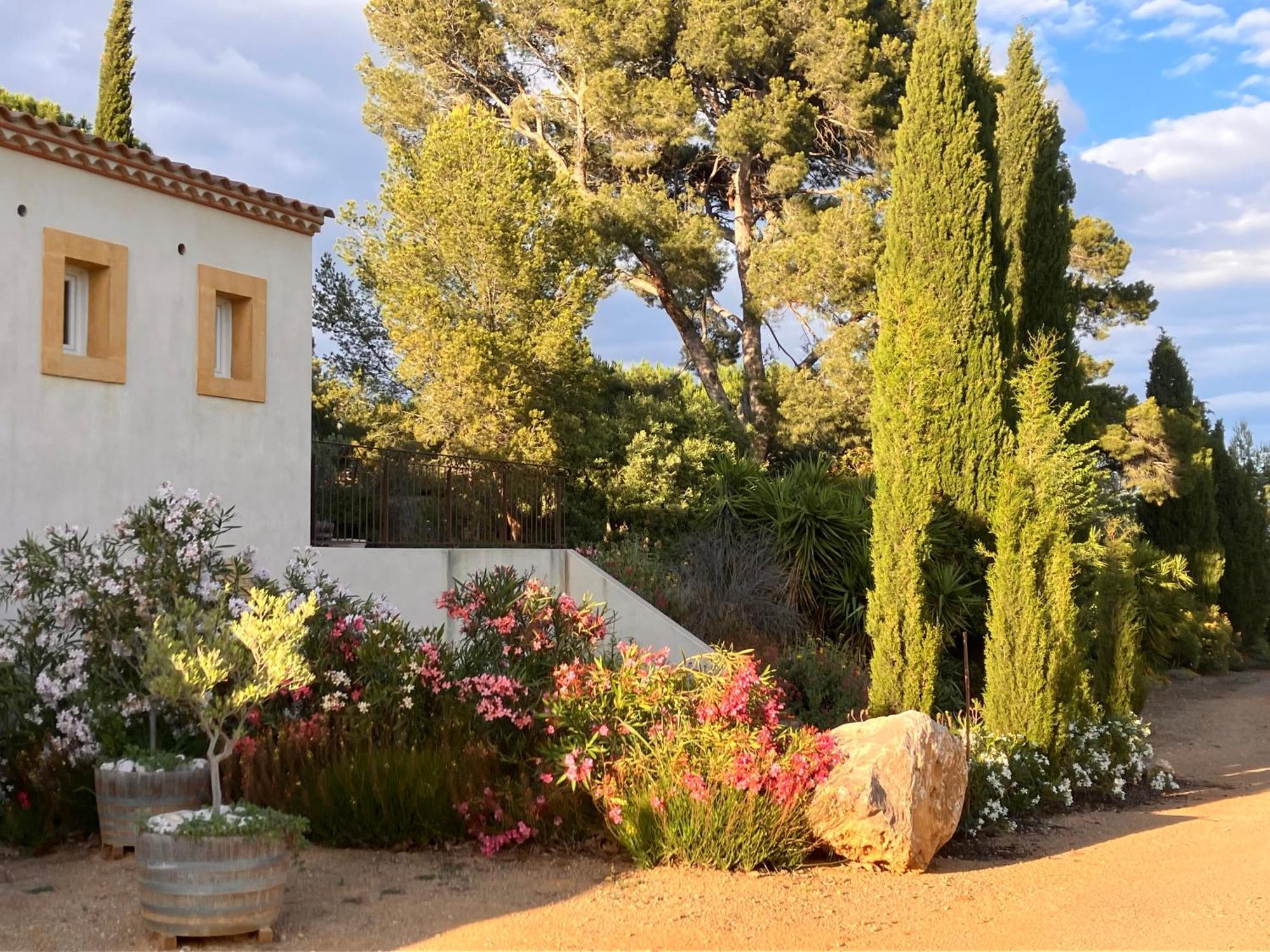 Domaine De L'Herbe Sainte Mirepeisset Bagian luar foto